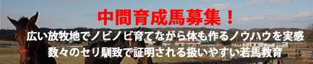 中間育成馬募集