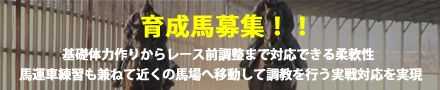 育成馬募集
